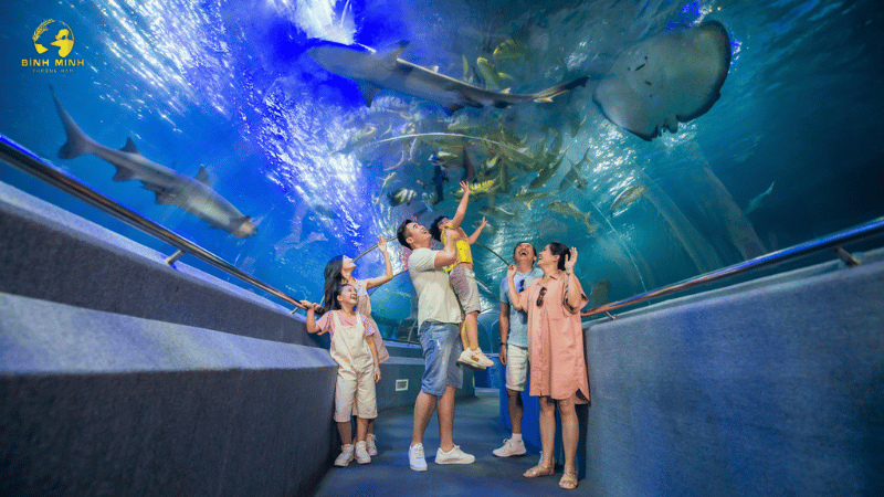 sea world vinwonders