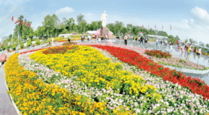 festival hoa sa đéc 2026