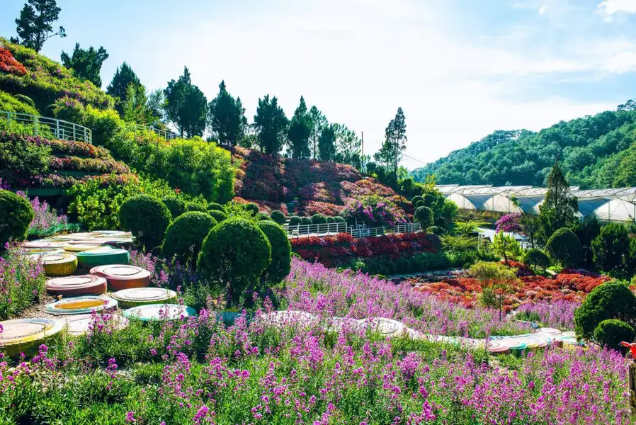 que garden